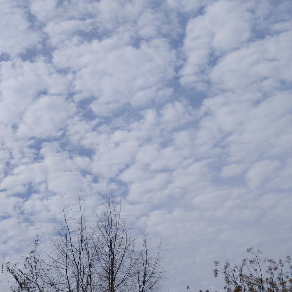 Picture of Calm Day