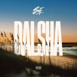 music cover