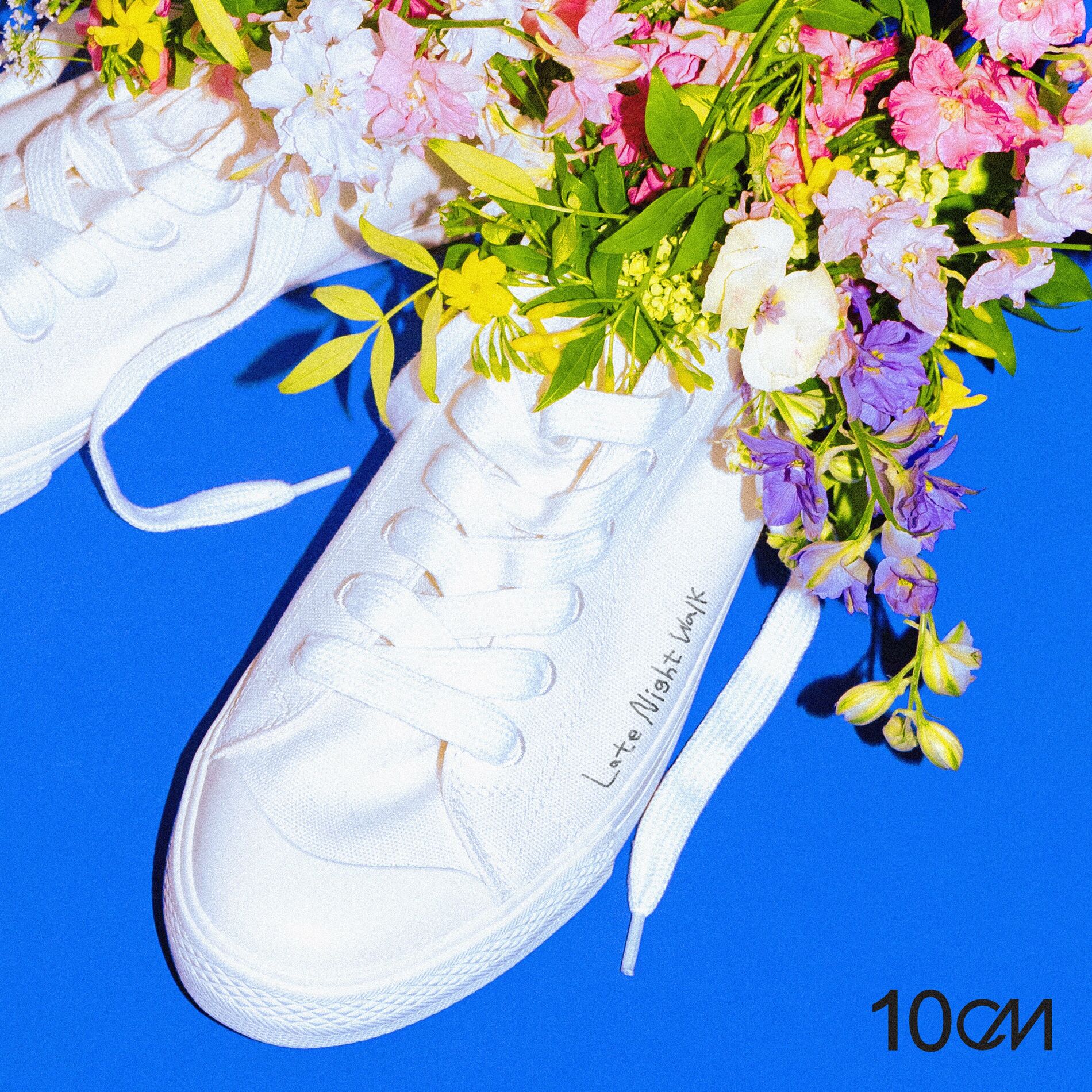 Album cover of Late Night Walk