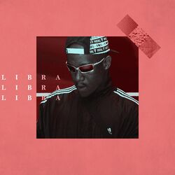 Cover of Libra