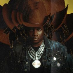 Cover of Will I?