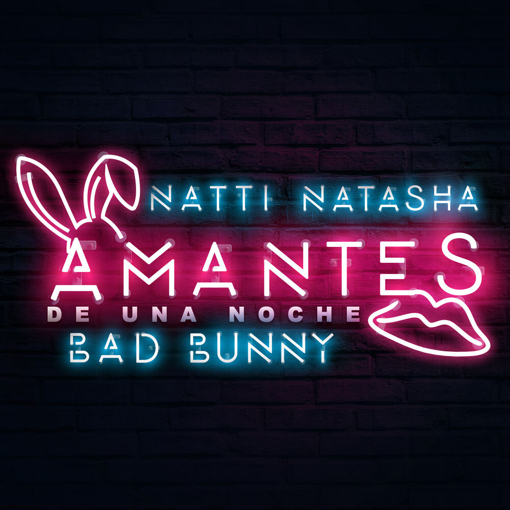 Picture of Amantes de una Noche