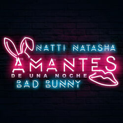 Cover of Amantes de una Noche