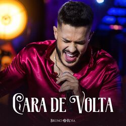 Cover of Cara de Volta