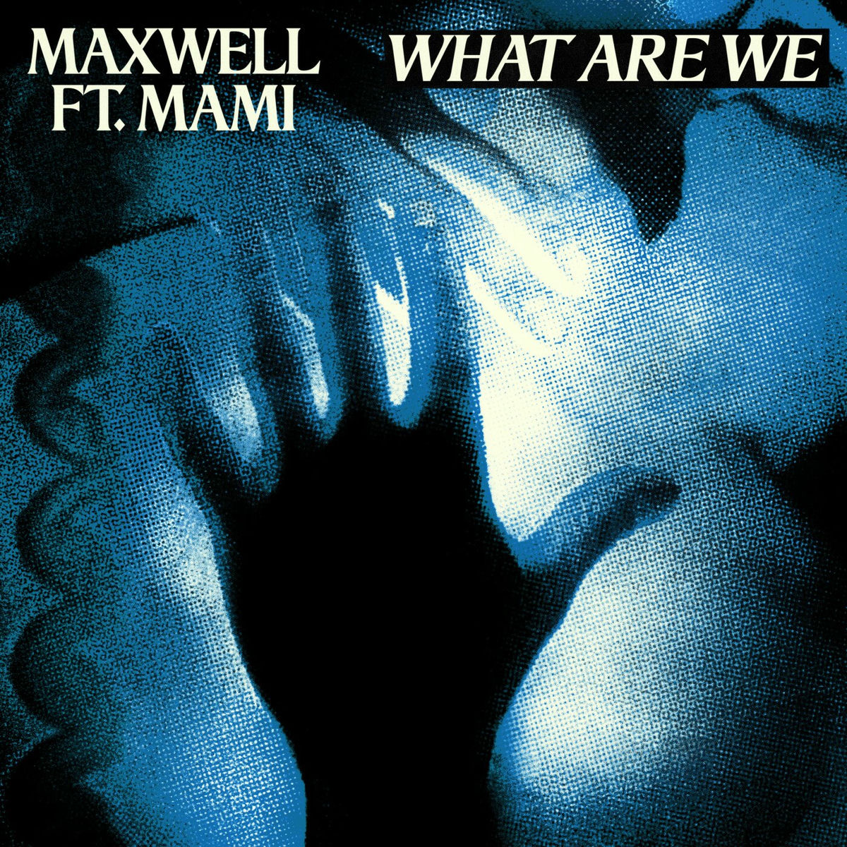 Album cover of What Are We (feat. MAMI)