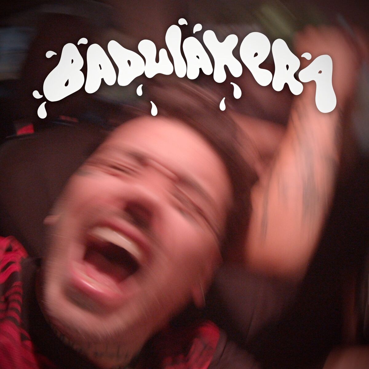 Album cover of Badulakera