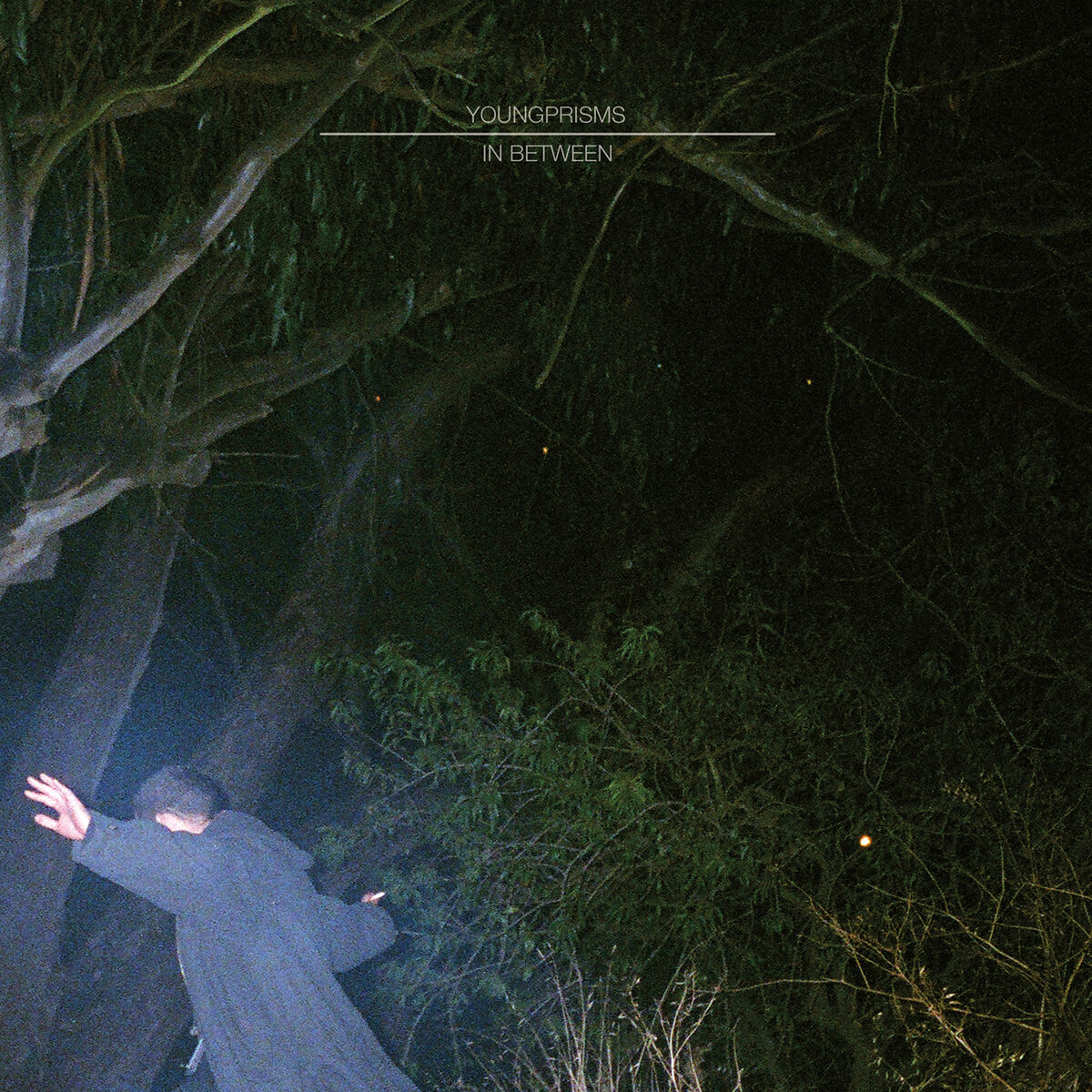 Album cover of In Between