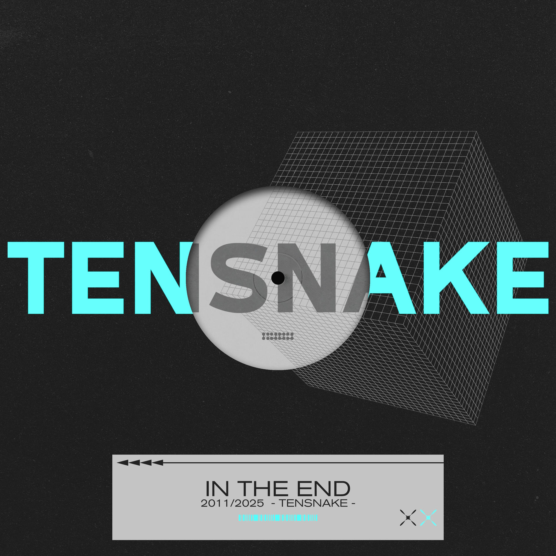 Album cover of In the End