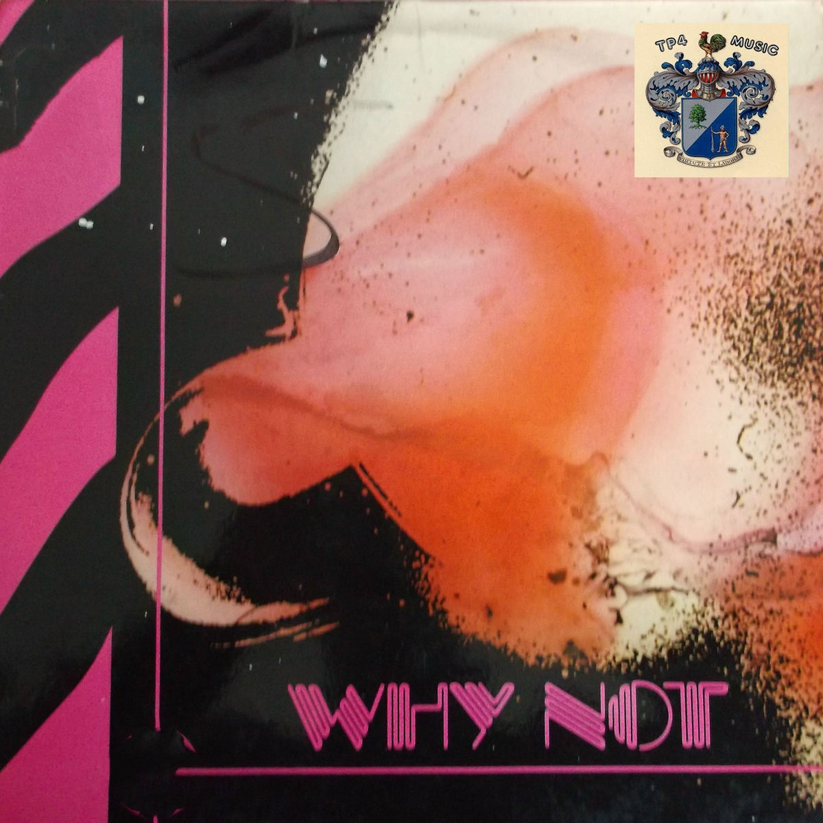 Album cover of Why Not?