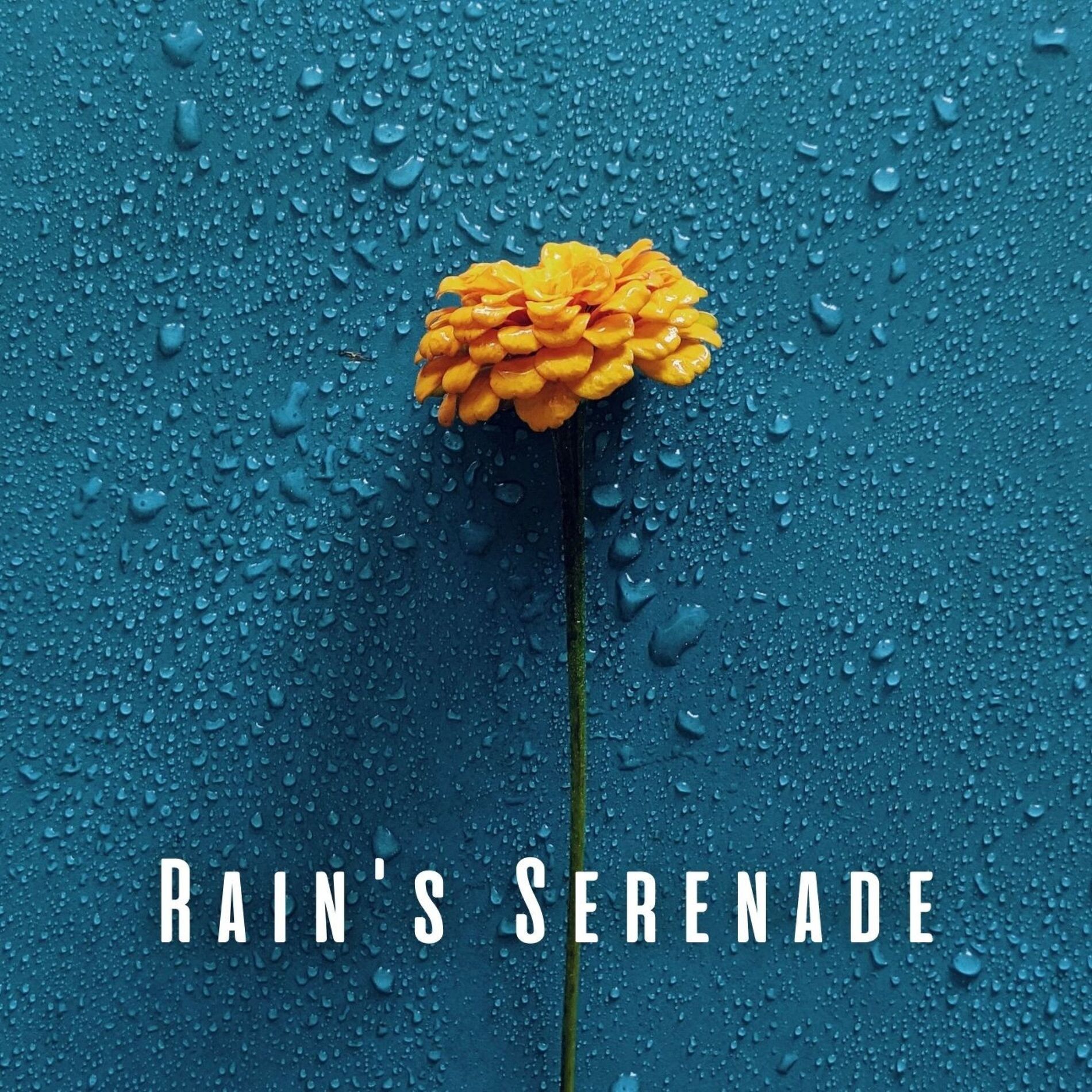 Album cover of Rain's Serenade: Binaural Study Sanctuary