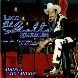 Cover of Adios A Mis Amigos