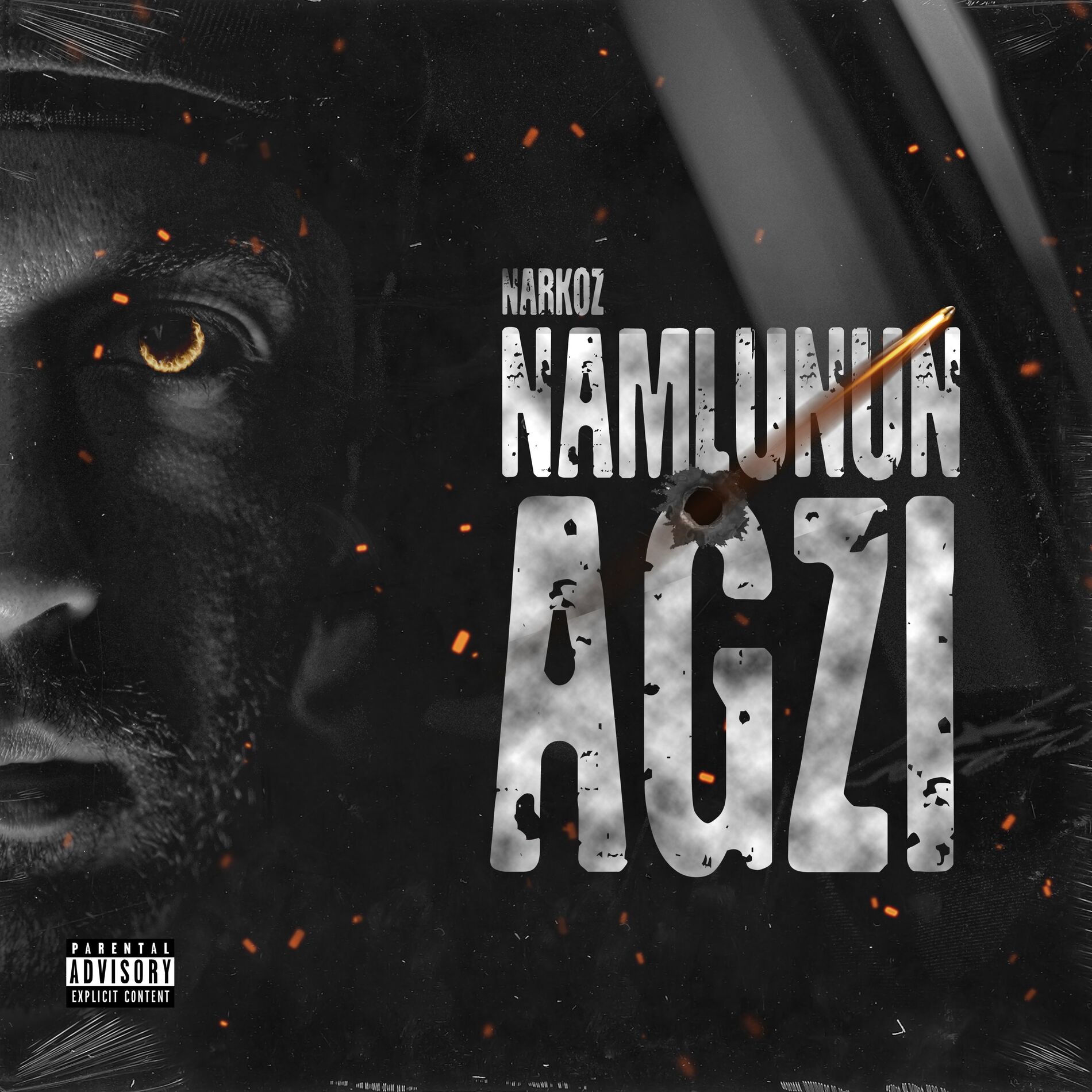 Album cover of Namlunun Ağzı