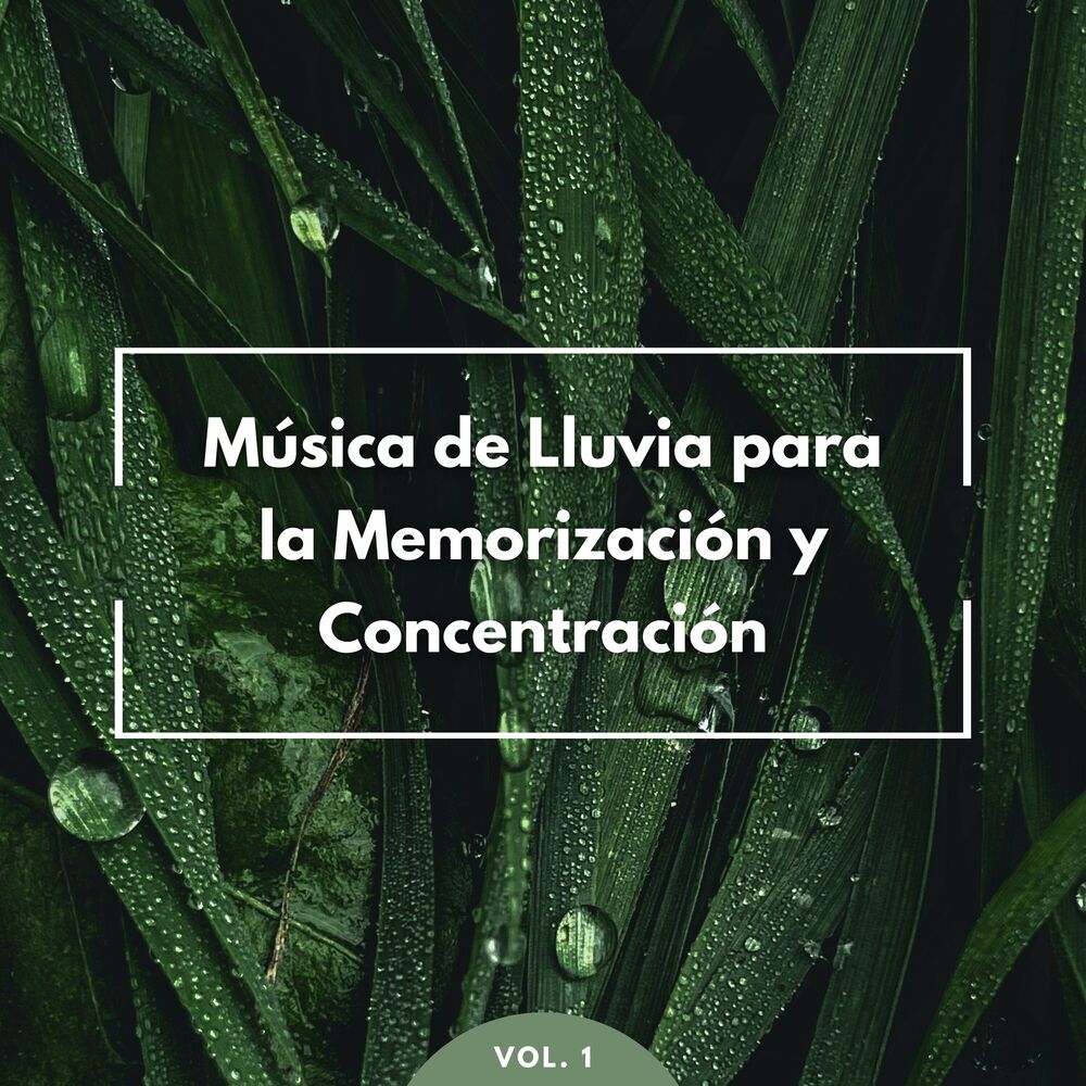 Picture of Música De Lluvia Para La Memorización Y Concentración Vol. 1