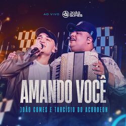 Cover of Amando Você (Ao Vivo)