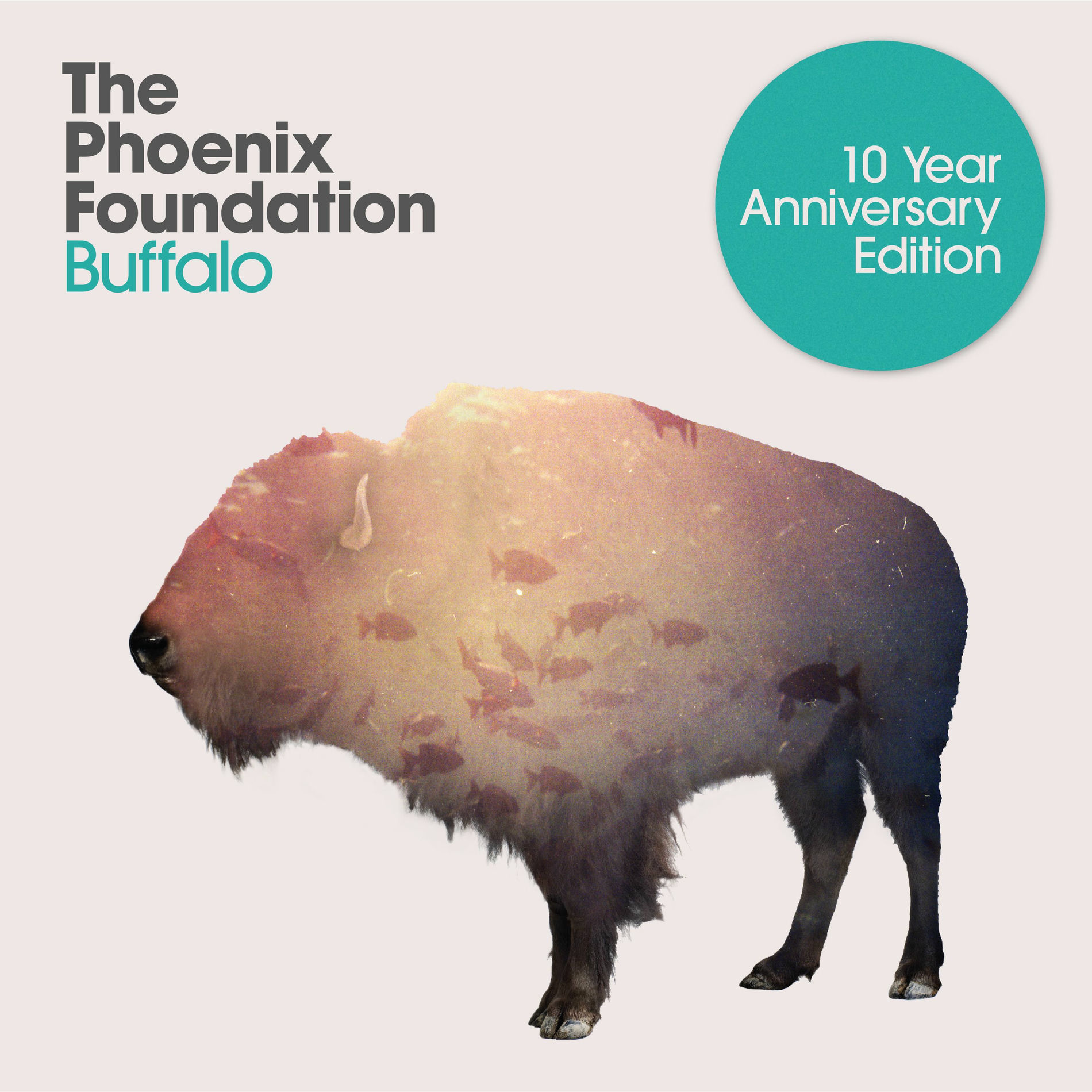 Album cover of Buffalo - 10 Year Anniversary Edition
