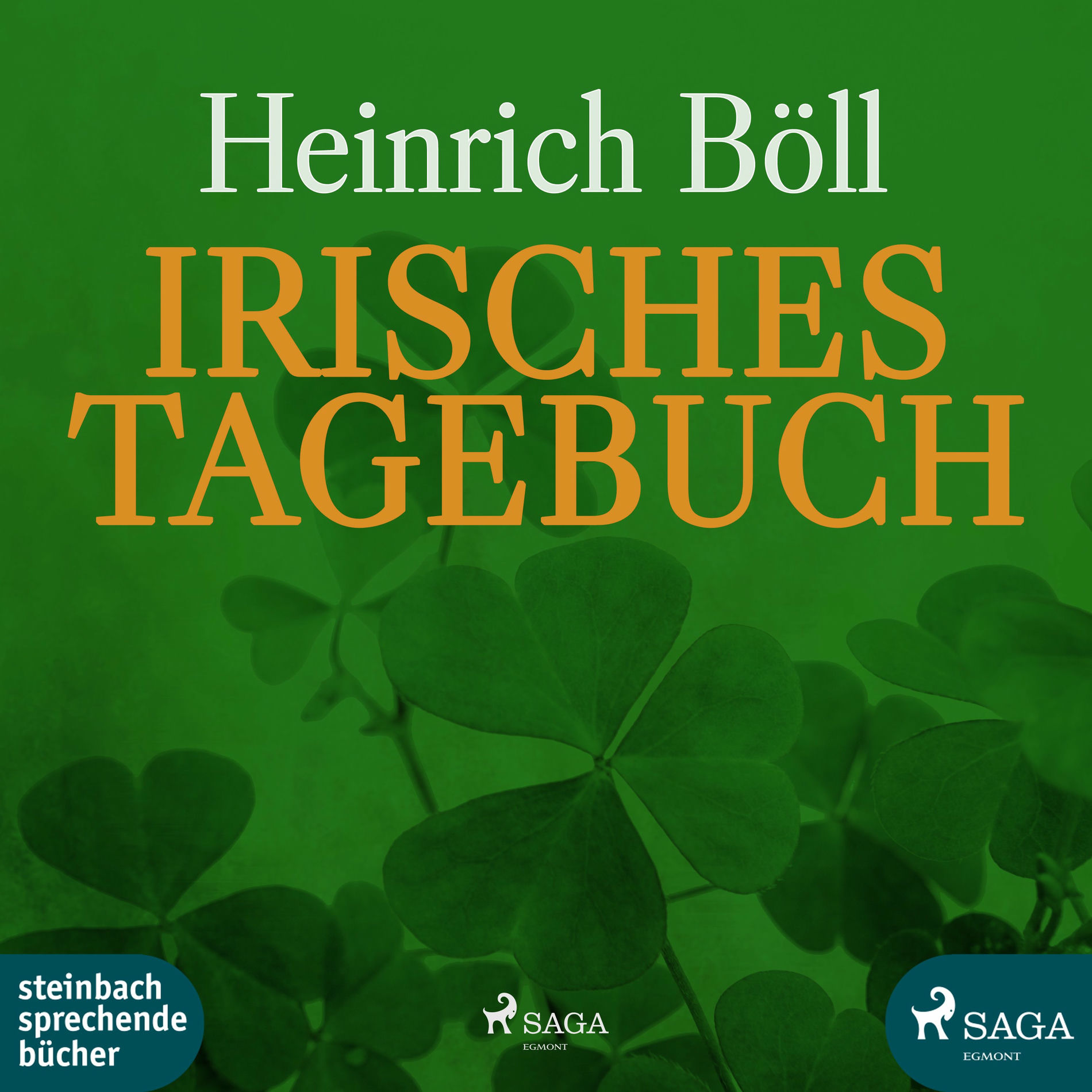 Album cover of Irisches Tagebuch