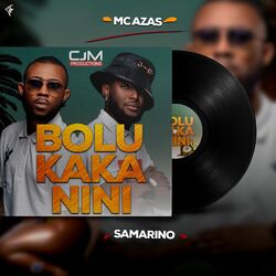 Cover of Bolukaka nini