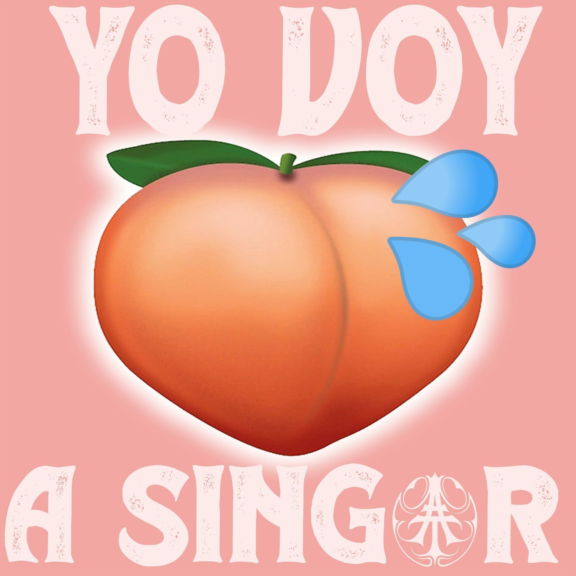 Album cover of VOY A SINGaR