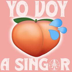 Cover of VOY A SINGaR