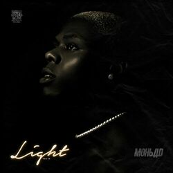Cover of Light