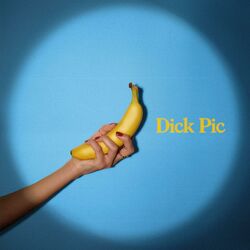 Cover of Dicpic