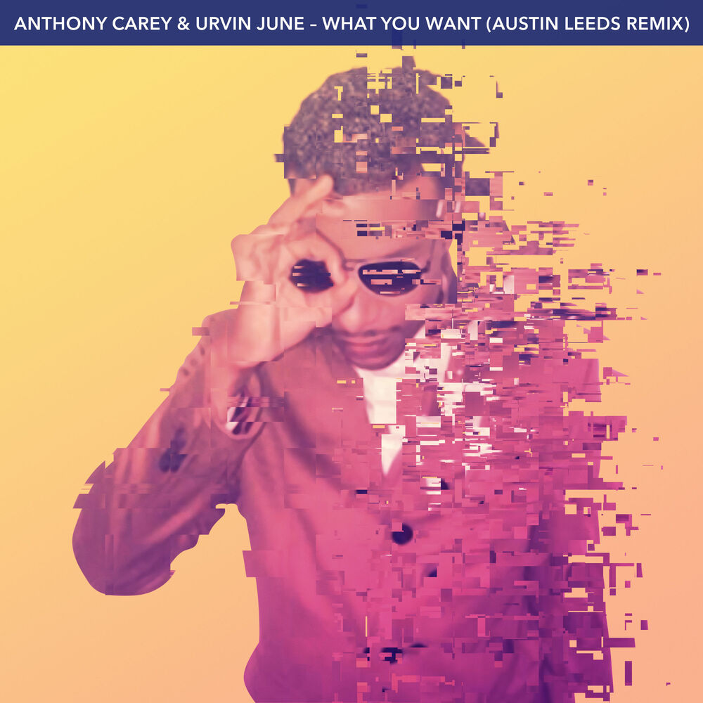 Picture of What You Want (Austin Leeds Remix)