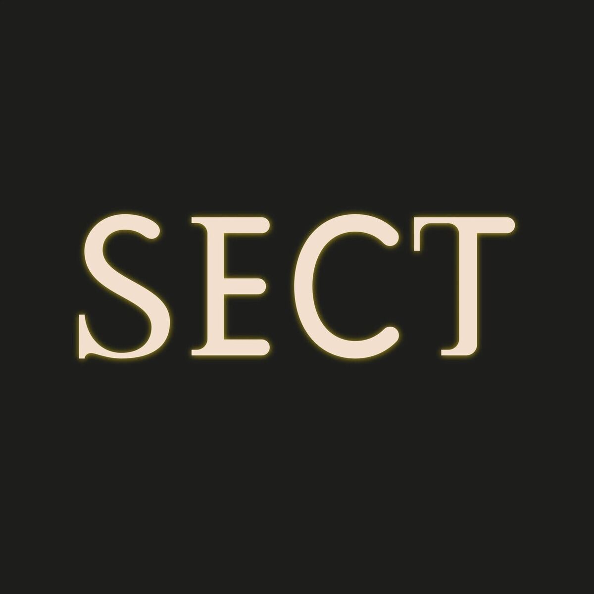 Album cover of Sect