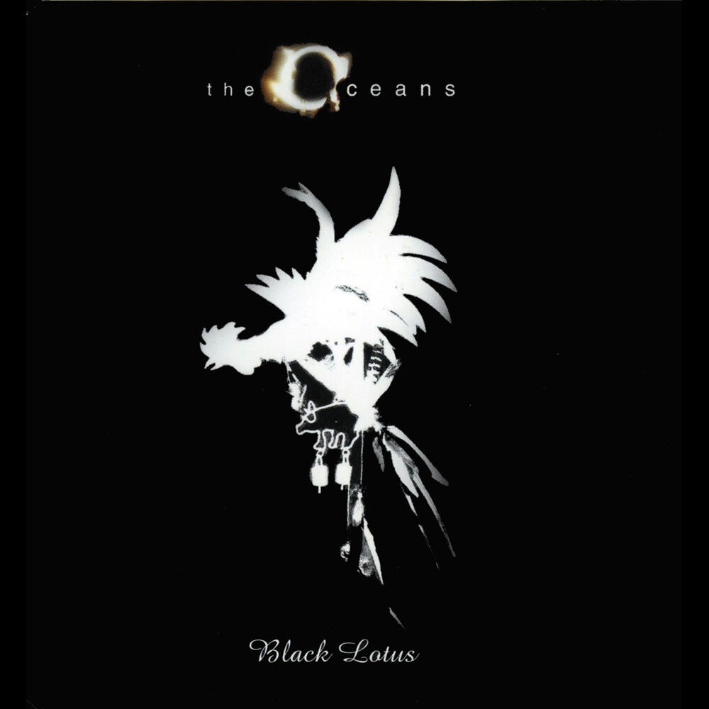 Picture of Black Lotus