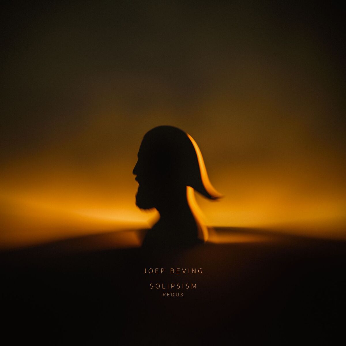 Album cover of Sleeping Lotus