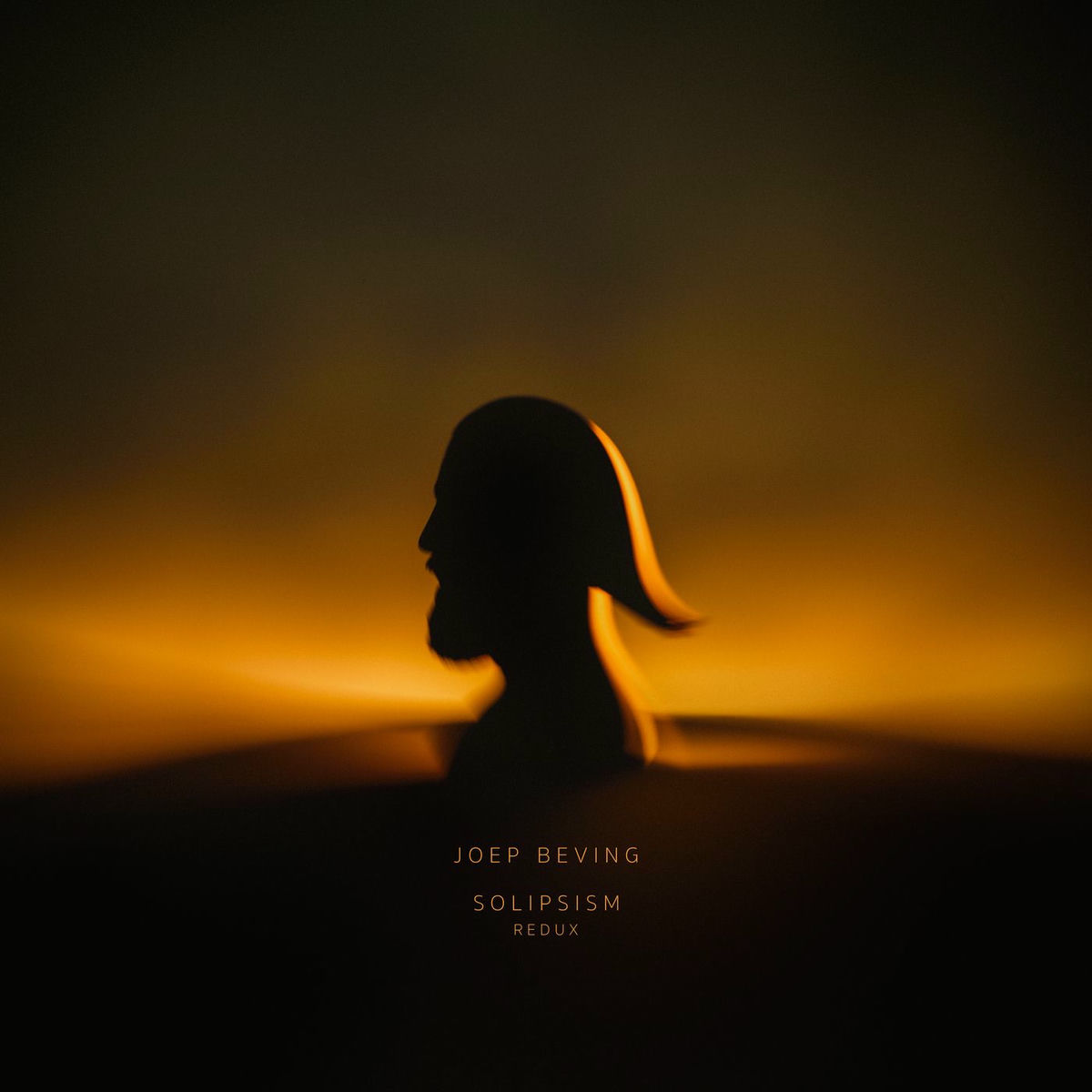 Album cover of Solipsism Redux