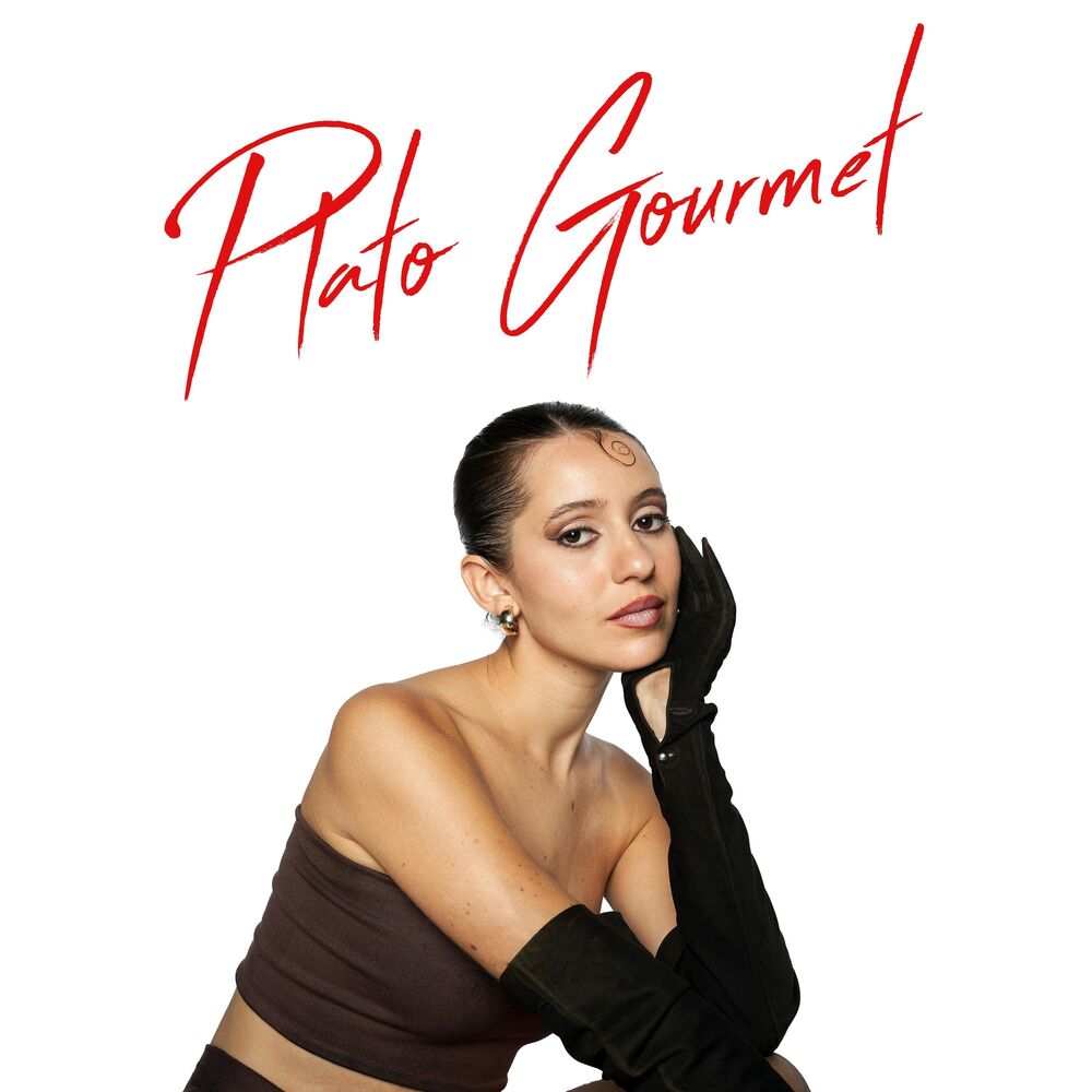 Picture of Plato Gourmet