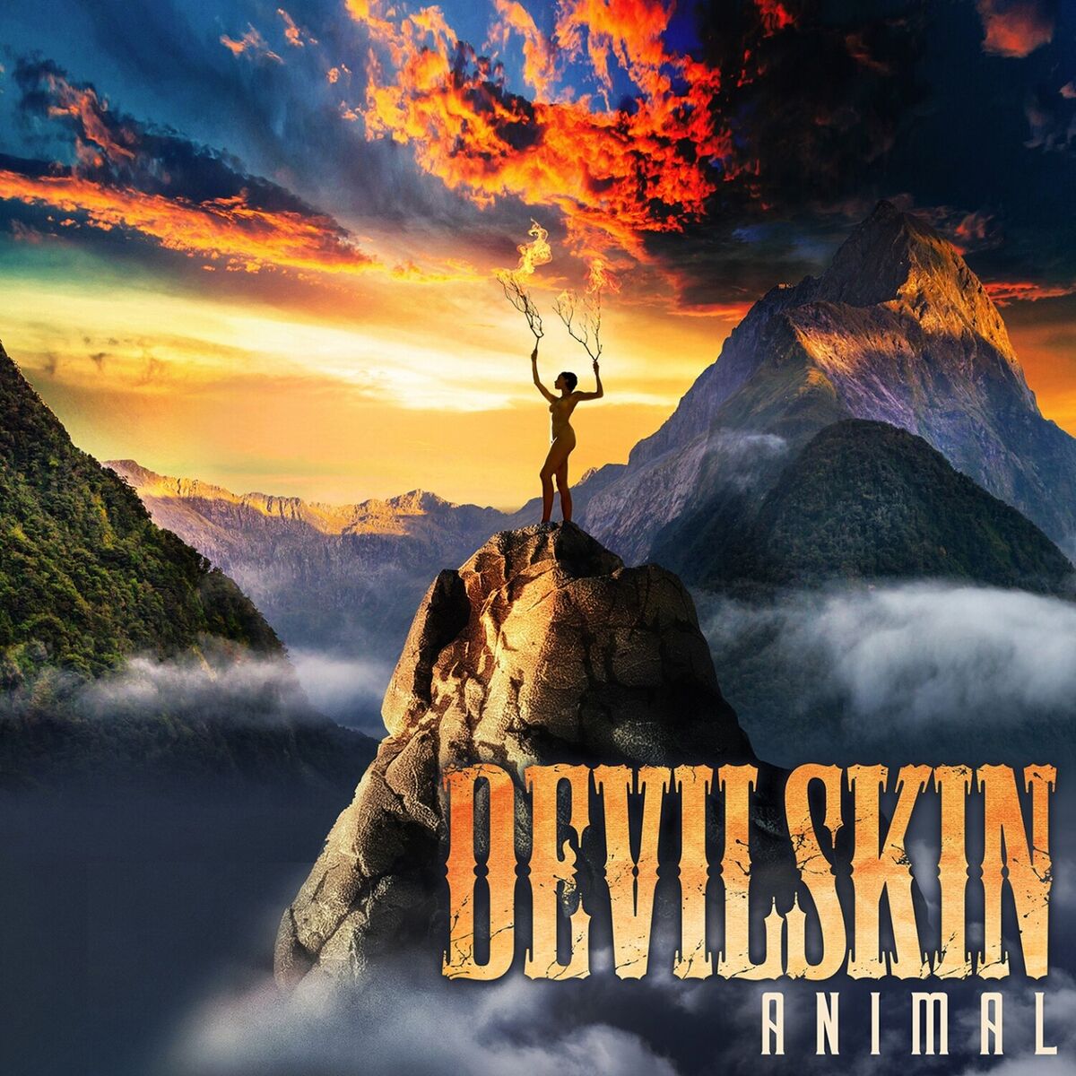 Album cover of Animal