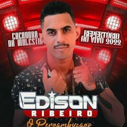 Cover of Repertório Novo - Ao Vivo 2022