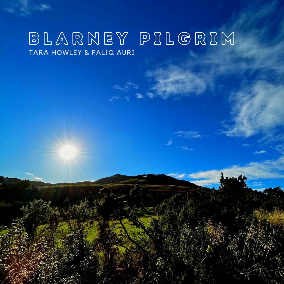Album cover of Blarney Pilgrim