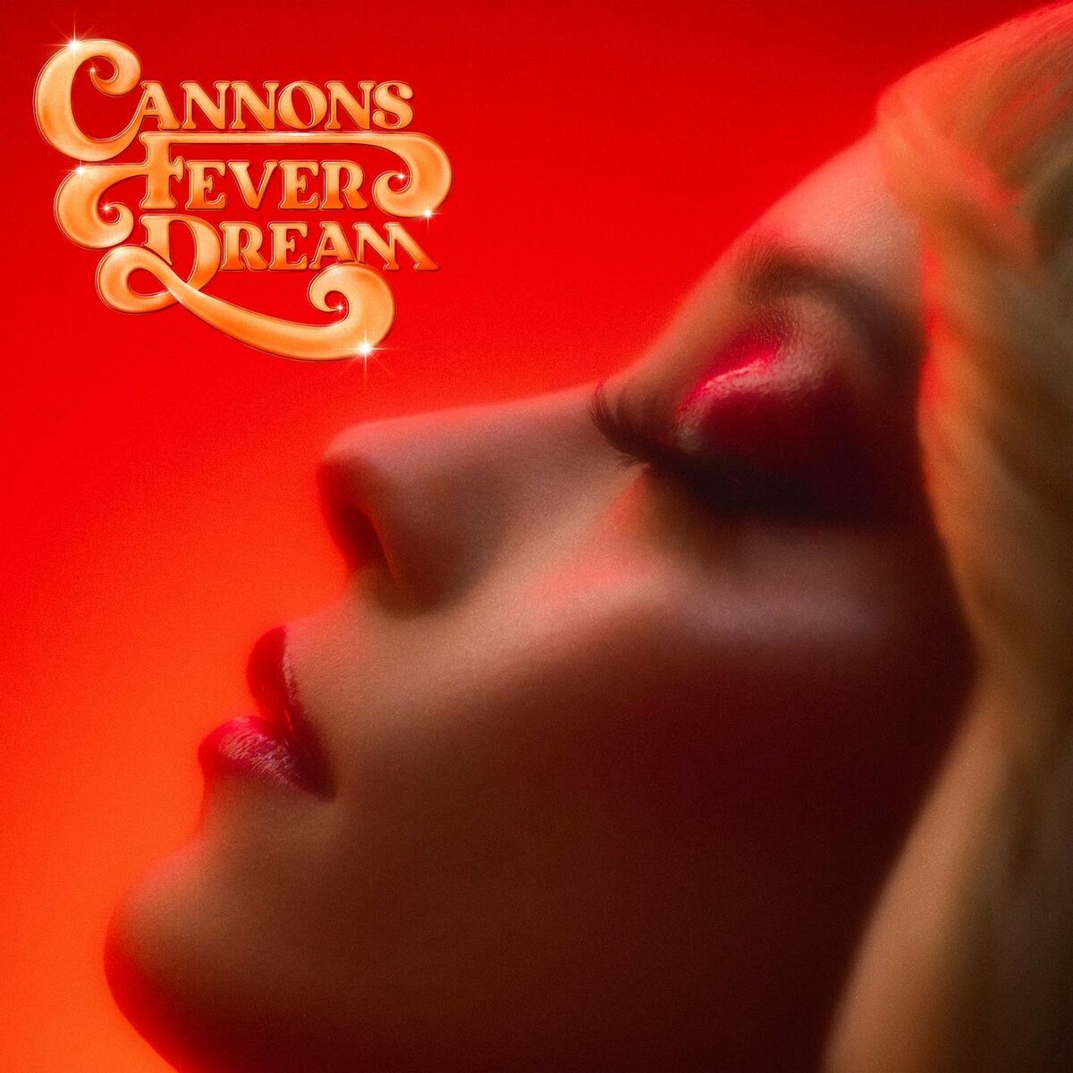 Album cover of Fever Dream