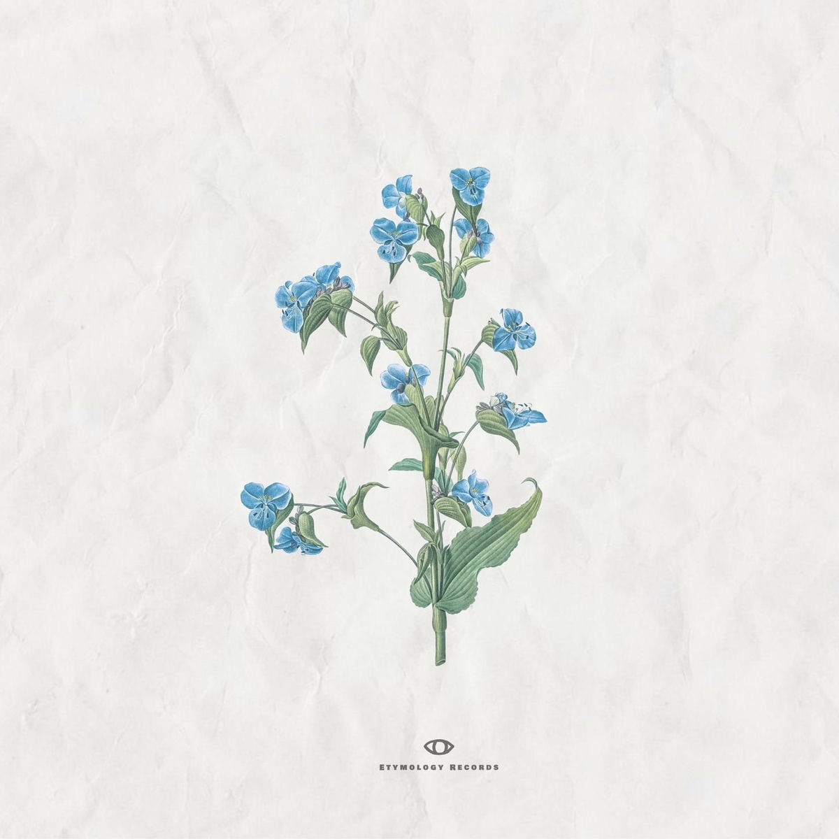 Album cover of Des Fleurs