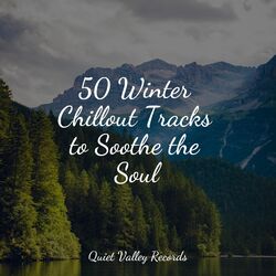 Cover of 50 Winter Chillout Tracks to Soothe the Soul