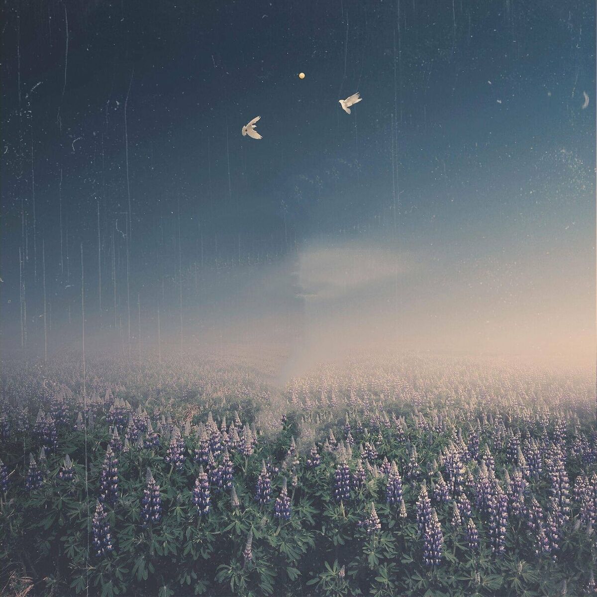 Album cover of Movement of the Dawn