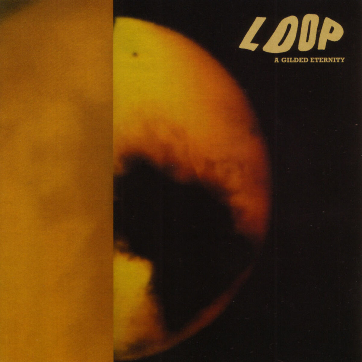 Album cover of A Gilded Eternity