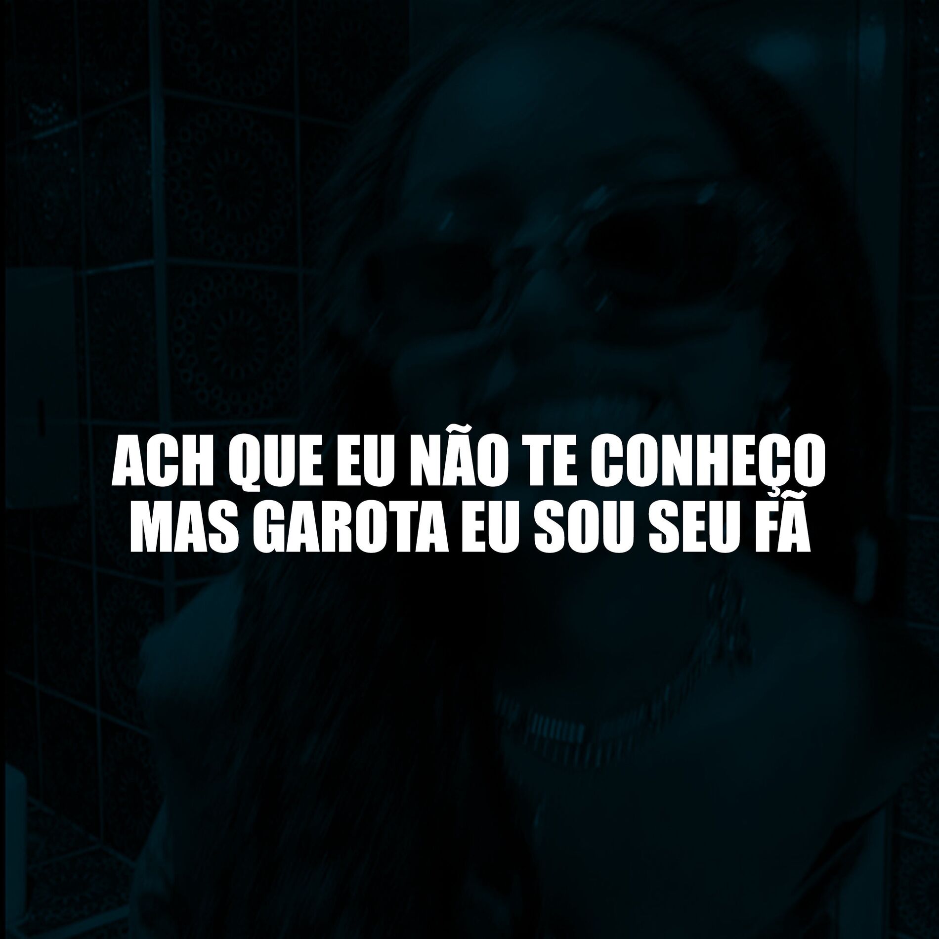 Album cover of Acha Que Eu Não Te Conheço Mas Garota Eu Sou Seu Fã