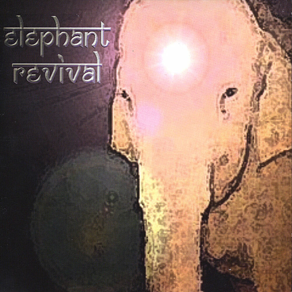 Picture of Elephant Revival