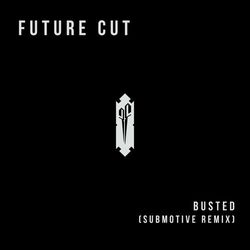 Cover of Busted