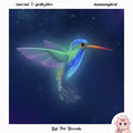 hummingbird