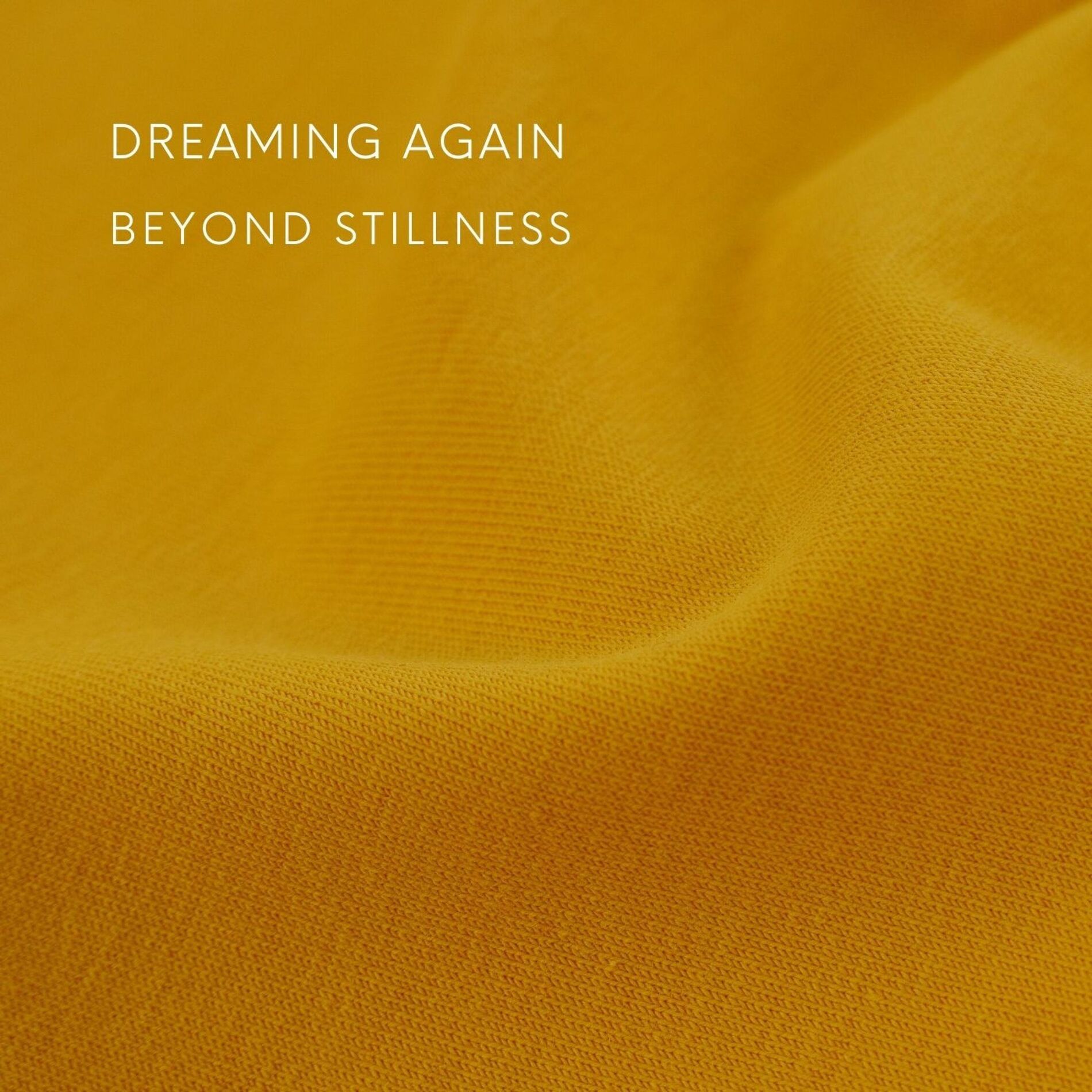 Album cover of Dreaming Again