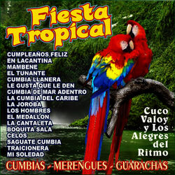 Cover of Fiesta Tropical