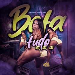 Cover of Bota tudo, ai ai ai
