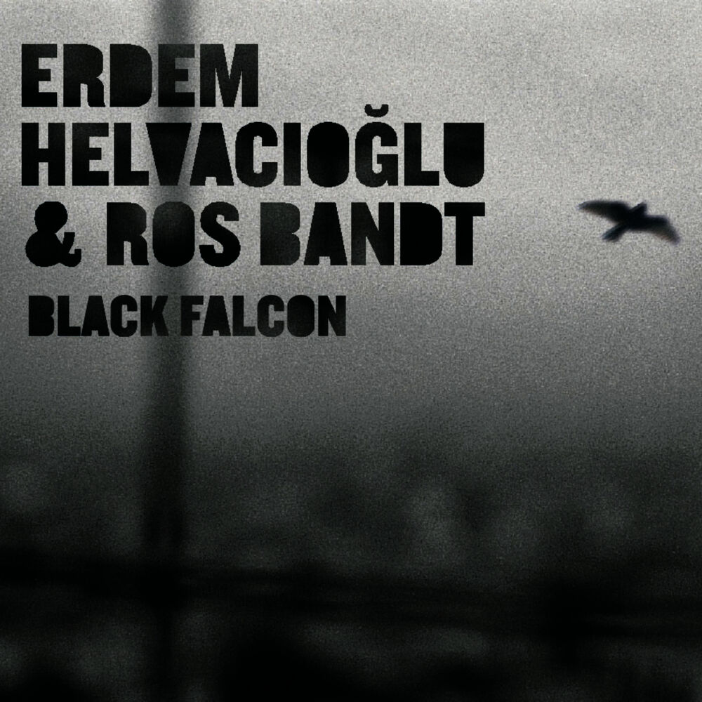 Picture of Black Falcon