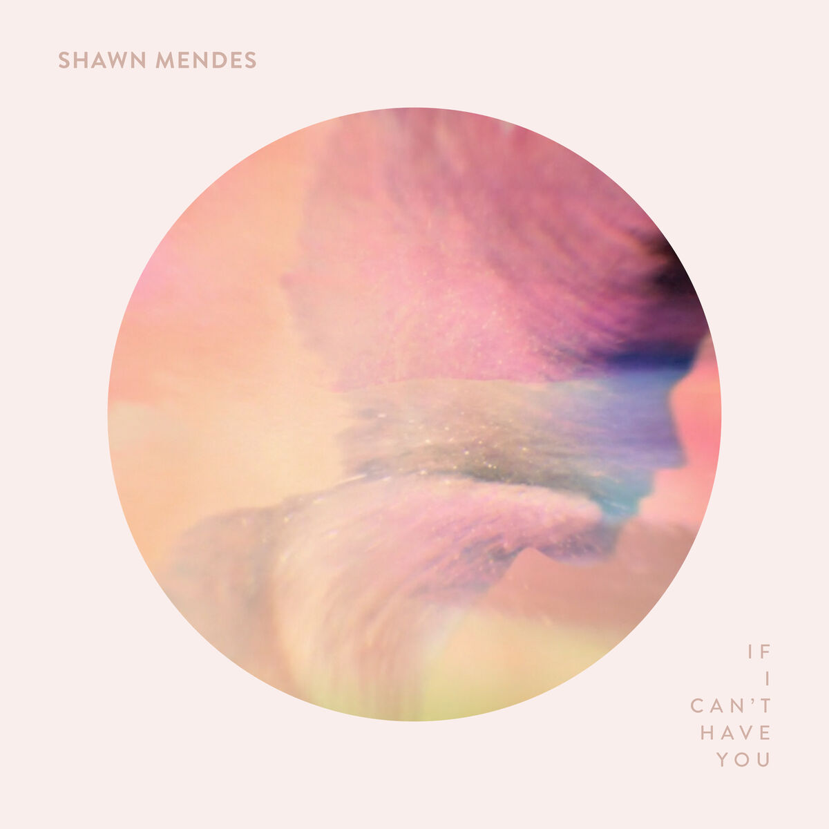 Album cover of If I Can't Have You