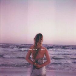 Cover of You Never Met Me