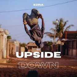 Cover of UPSIDE DOWN